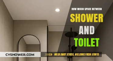 Optimizing Bathroom Layout: Ideal Space Between Shower and Toilet