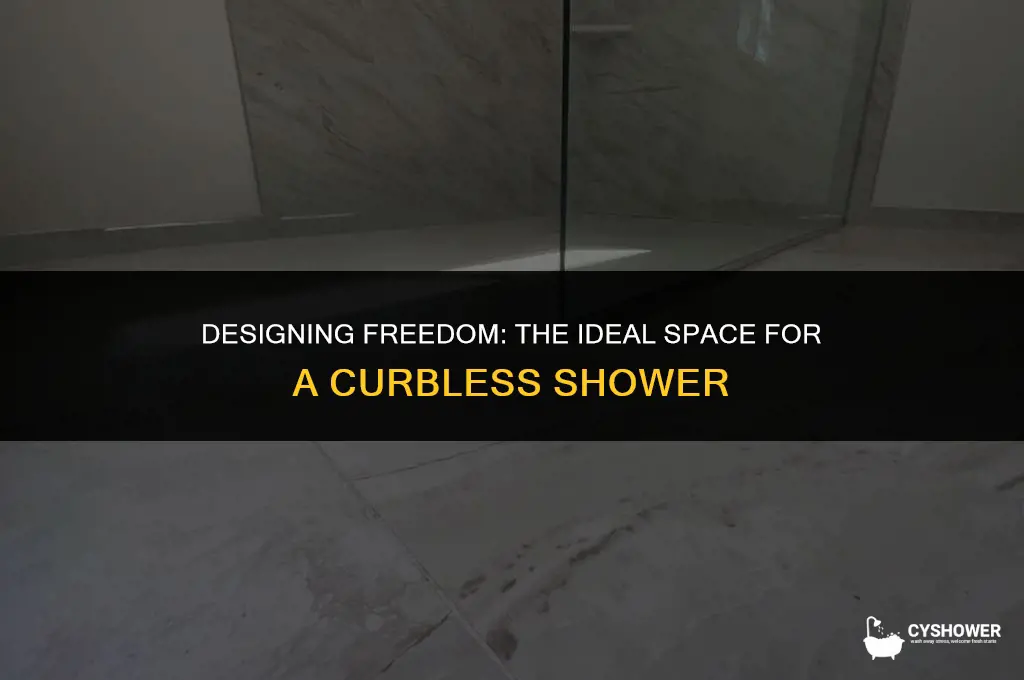 how much space is needed for a curbless shower