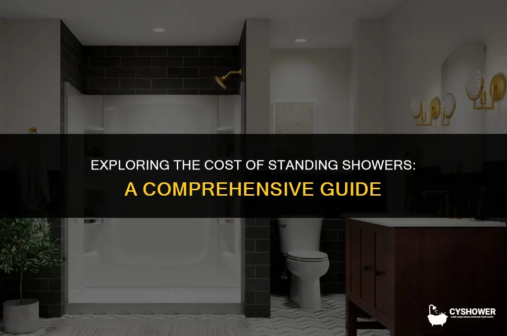 how much standing shower cost