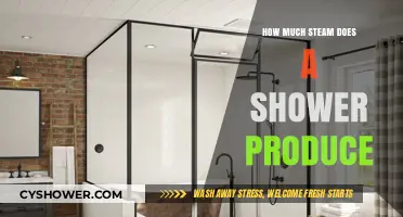 Unveiling the Mystery: How Much Steam Does a Shower Produce?