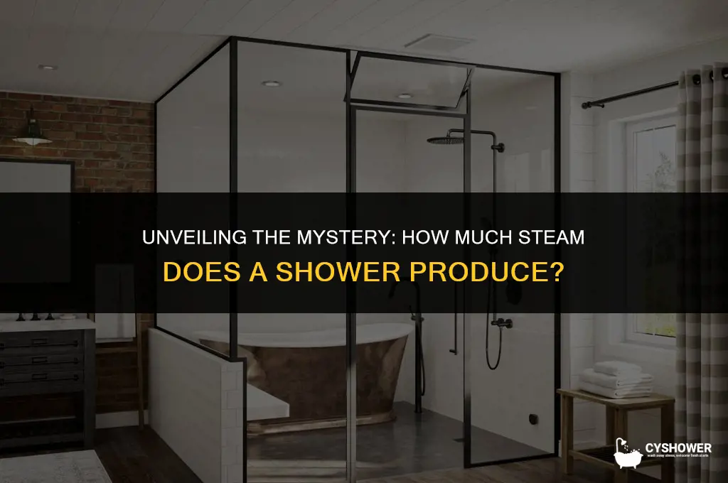 how much steam does a shower produce