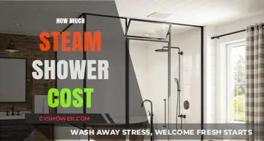 Unveiling the True Cost of Steam Showers: A Comprehensive Guide