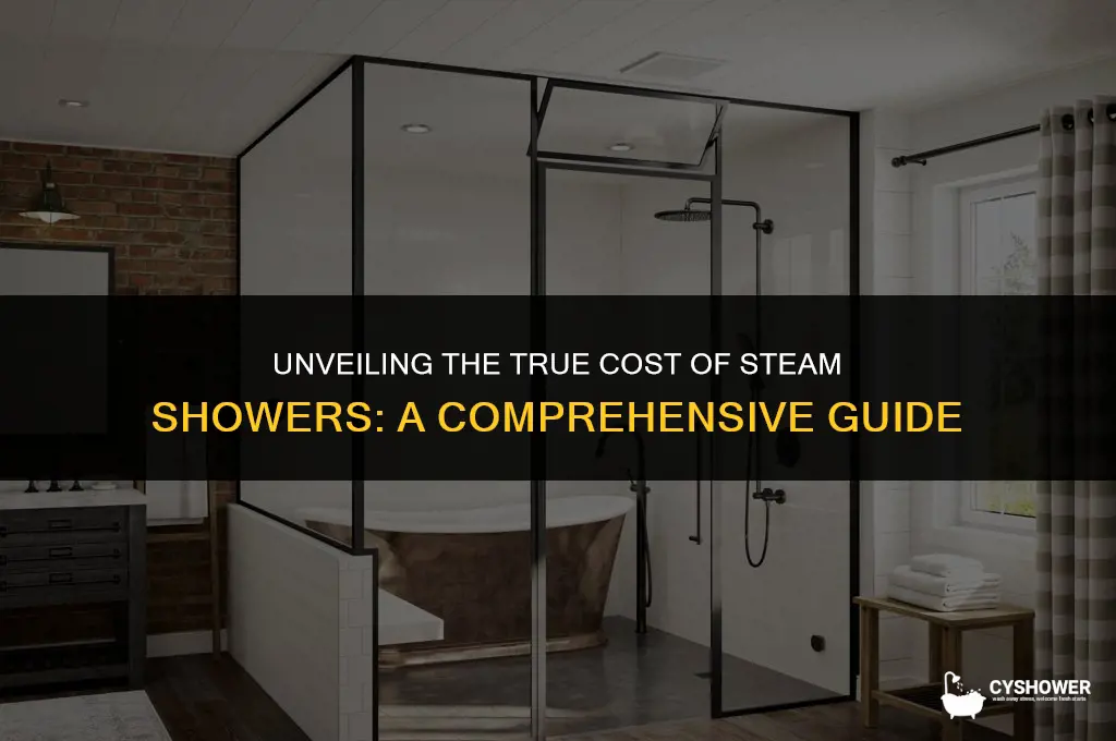 how much steam shower cost