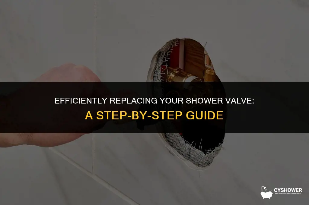 how much time to replace a shower valve