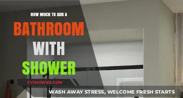 Budgeting for a Bathroom Upgrade: Shower Installation Costs Unveiled