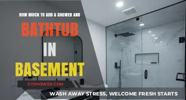 Basement Bathroom Bliss: Budgeting for a Shower and Tub Combo
