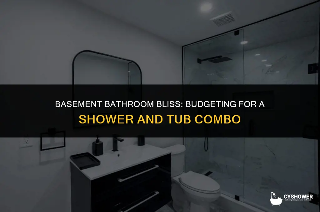 how much to add a shower and bathtub in basement
