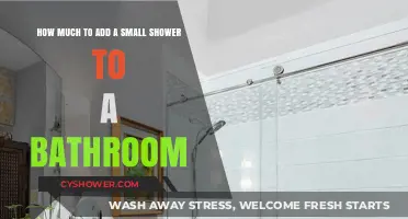 Compact Refresh: Budgeting for a Small Shower Addition
