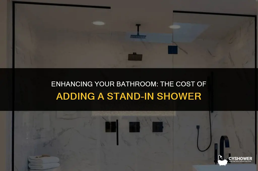 how much to add a stand in shower