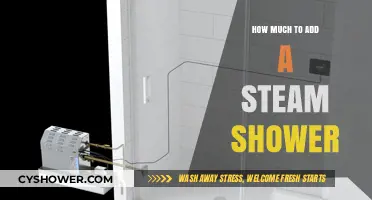Transform Your Bathroom: The Ultimate Guide to Adding a Steam Shower