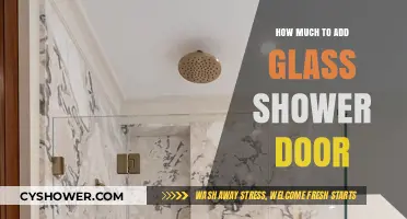 Cost Guide: Adding a Glass Shower Door to Your Bathroom