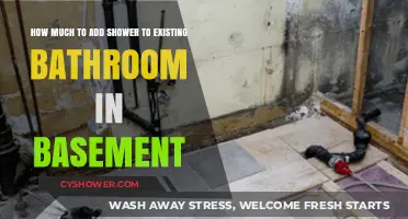 Basement Bathroom Upgrade: Adding a Shower on a Budget