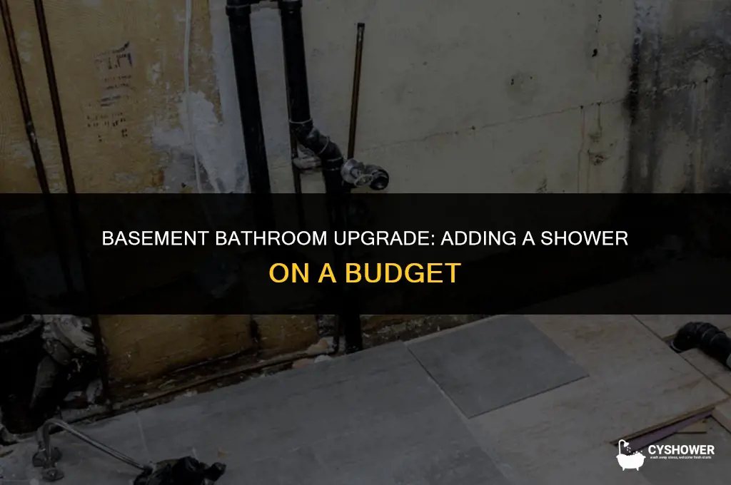 how much to add shower to existing bathroom in basement