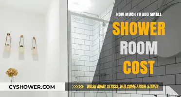 Compact Shower Room Addition: Budgeting Essentials for Your Home Renovation