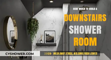 Creating a Downstairs Shower Room: Budget and Essentials