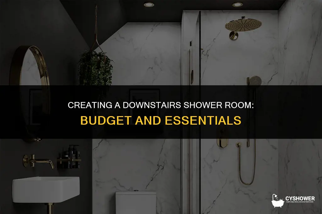 how much to build a downstairs shower room