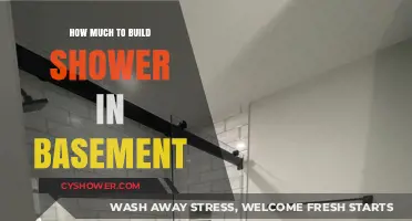 Basement Shower Installation: Cost Breakdown and Planning Tips
