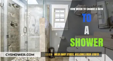 Transforming Your Bath to a Shower: Cost and Considerations