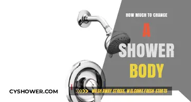 Revamping Your Shower: A Guide to Body Replacement Costs
