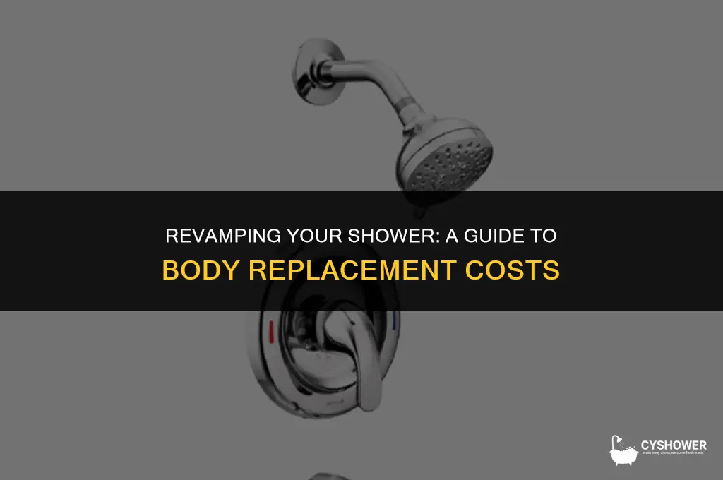 how much to change a shower body