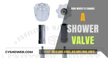 DIY Shower Valve Replacement: Cost and Considerations