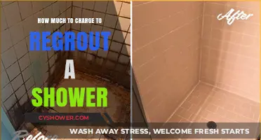 Revamping Your Shower: A Guide to Regrouting Costs