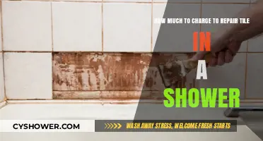 Tile Repair Pricing Guide: Shower Costs and Budget Tips