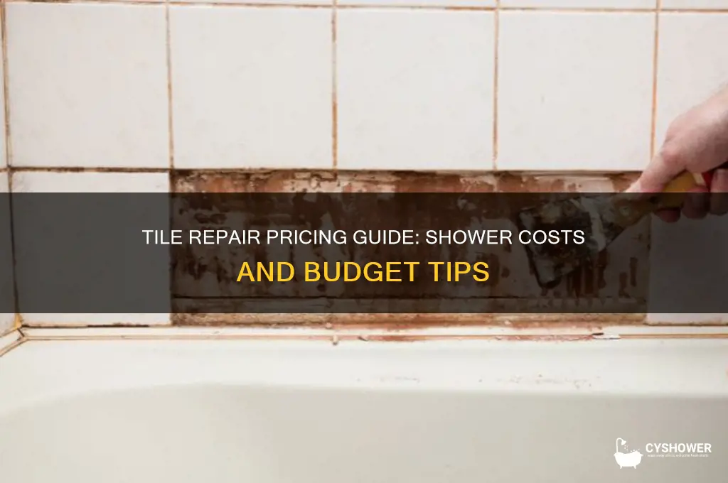 how much to charge to repair tile in a shower