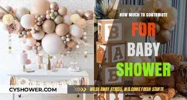 Sweet Beginnings: Baby Shower Contribution Guide
