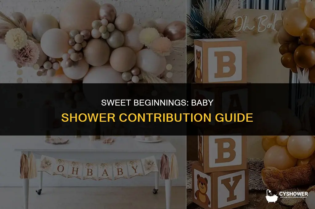 how much to contribute for baby shower