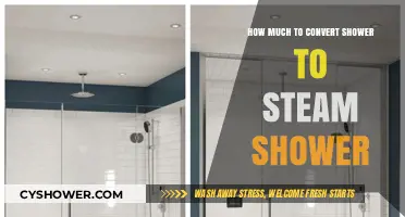 Transforming Your Shower: The Cost of Adding Steam Luxury