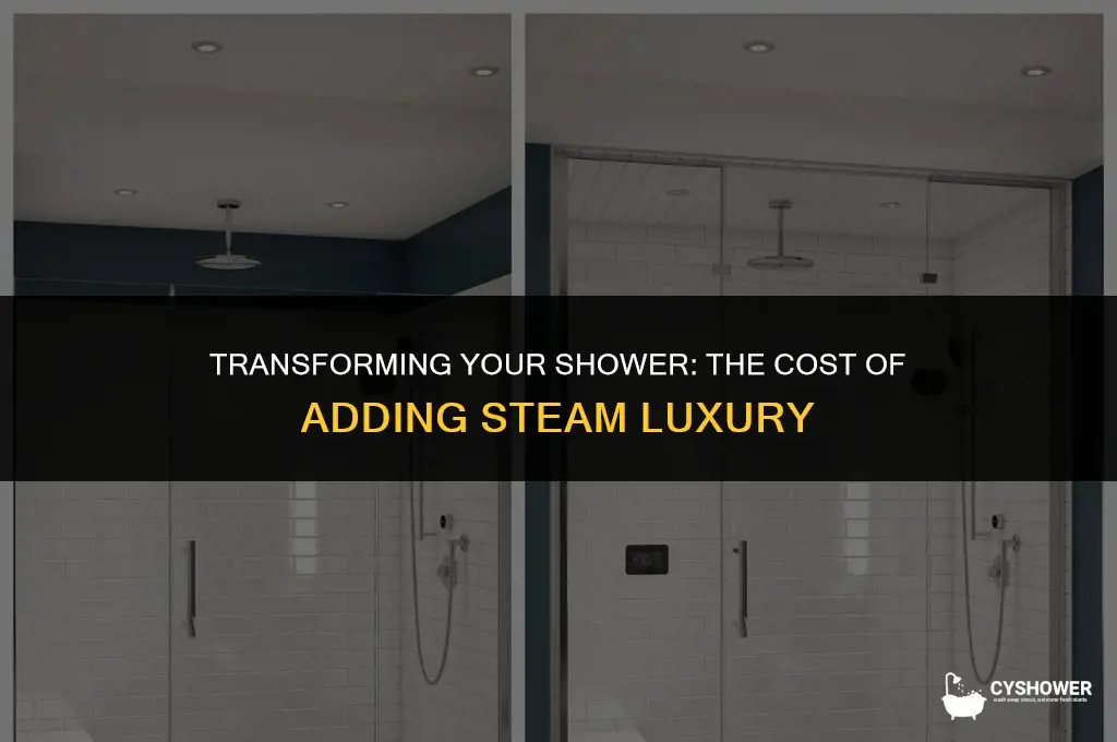 how much to convert shower to steam shower