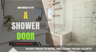 Cost Guide: Fitting a Shower Door – What to Expect