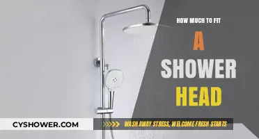 Cost Guide: Fitting a Shower Head – What to Expect