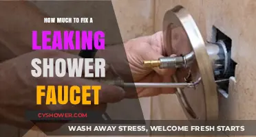 Cost-Effective Solutions: Repairing a Leaking Shower Faucet on a Budget