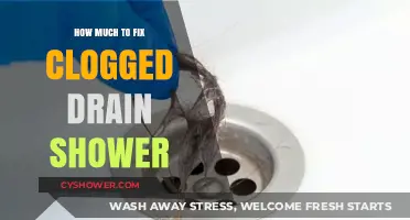 Fixing a Clogged Shower Drain: Cost-Effective Solutions and Tips