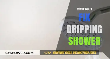 Fixing a Dripping Shower: Cost-Effective Repair Solutions Revealed