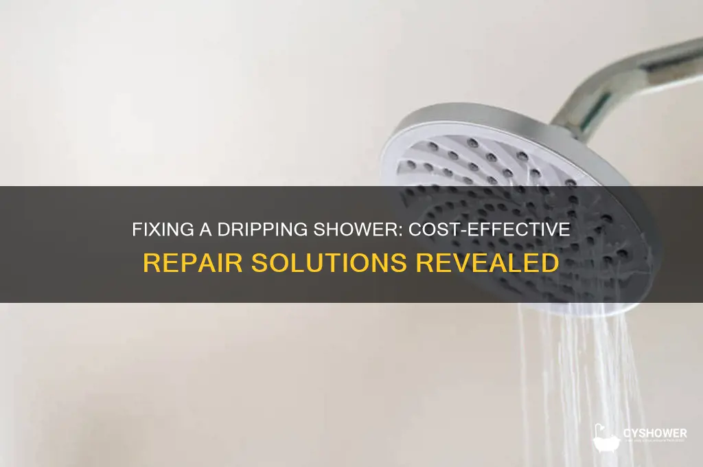 how much to fix dripping shower
