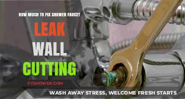 Fixing a Shower Faucet Leak: Wall Cutting Costs Explained