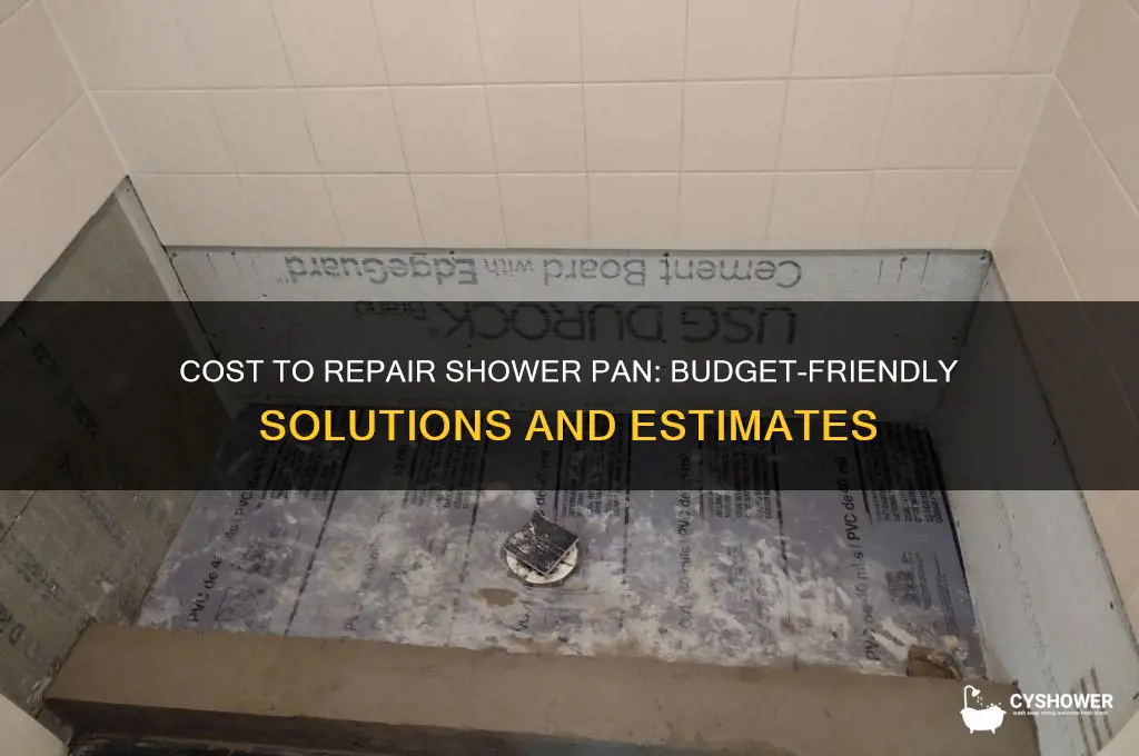 how much to fix shower pan