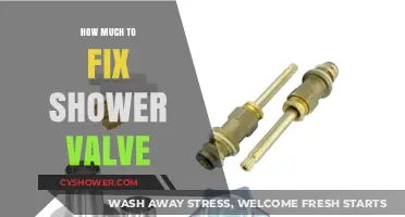 Solving Shower Valve Issues: A Comprehensive Repair Cost Guide