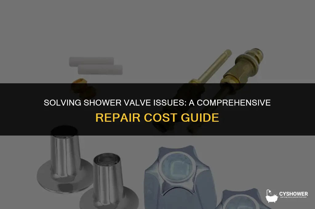 how much to fix shower valve
