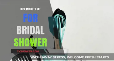 Bridal Shower Budget Guide: Perfect Gift Ideas & Cost Tips