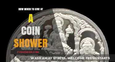 Generosity Unveiled: The Art of Coin Shower Contributions