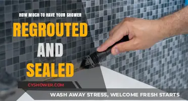 Revamping Your Shower: The Cost of Regrouting and Sealing