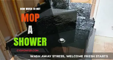 Revamping Your Shower: The Cost of Hot Mopping Explained