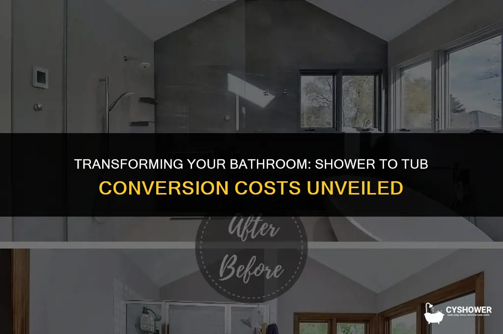 how much to move shower to a tub