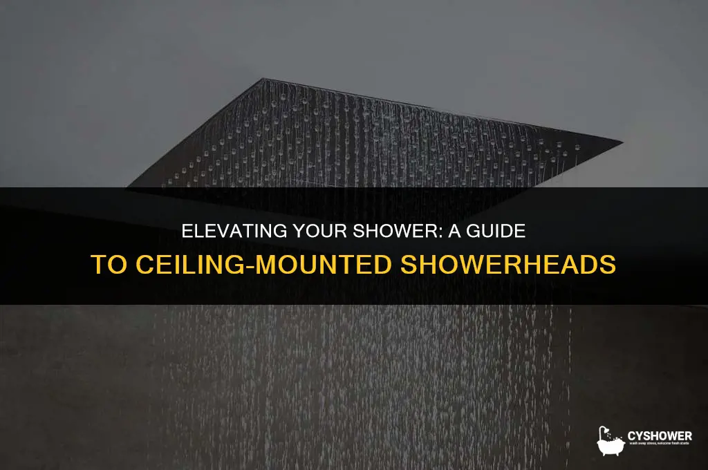 how much to move shower to ceiling