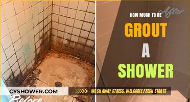Revamping Your Shower: A Guide to Re-Grouting Costs