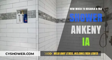 Recaulking a Tile Shower in Ankeny, IA: Cost Guide
